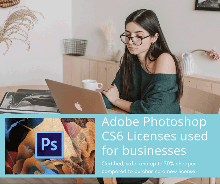 Adobe Photoshop CS6 Licenses used for businesses